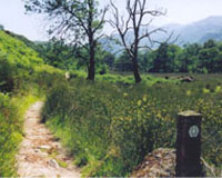 West Highland Way